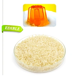 High quality halal edible gelatin powder 120-300 Bloom for cake candy